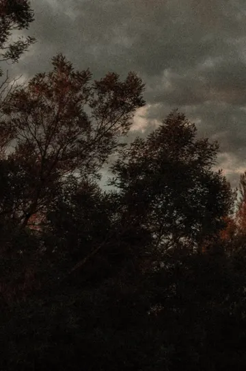 Potret layar fitur baru saat menata gambar memanjang agar tetap rapi dan proporsional.