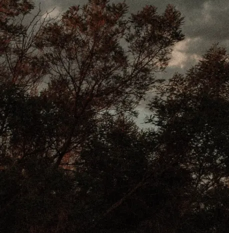 Ilustrasi artikel Uji Coba Fitur Gambar Inline